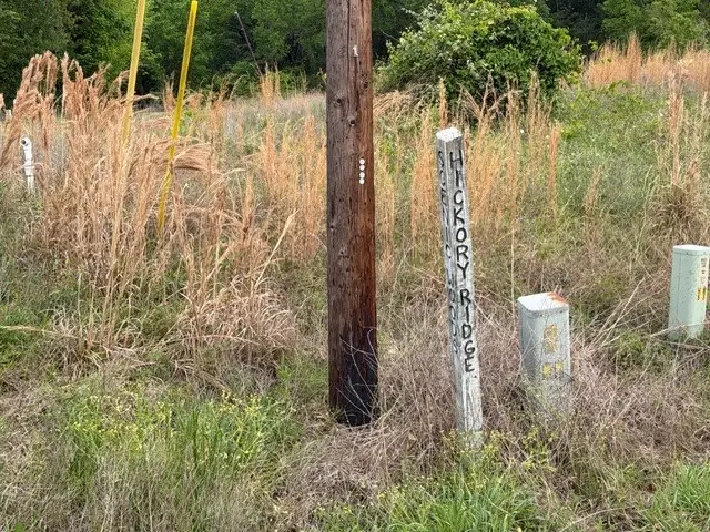 Lot 231 Scenic Woods Drive, Coldspring, TX 77331 - #2