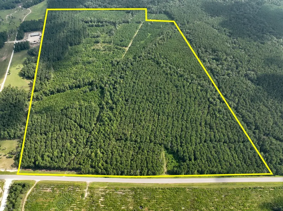 T-3 Fm 943, Kountze, TX 77625 - #2