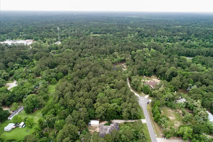 17827 Indigo Hills Drive, Magnolia, TX 77355 - Image #3