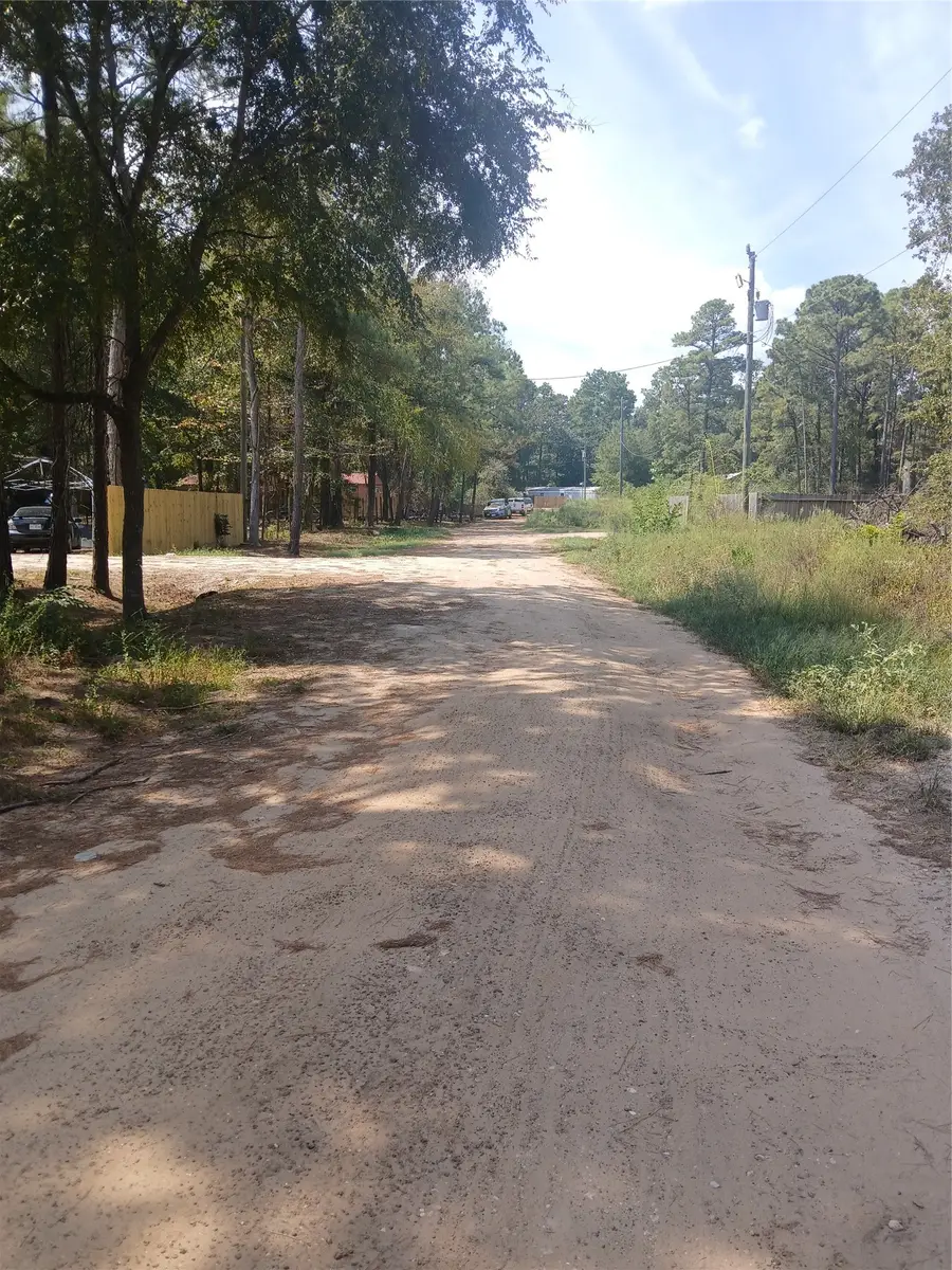 7883 Hoptree Lane, Plantersville, TX 77363 - #3