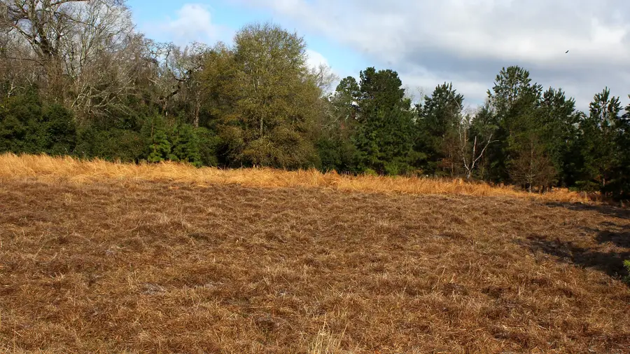 TBD La Petite Court, Trinity, TX 75862 - Image #3