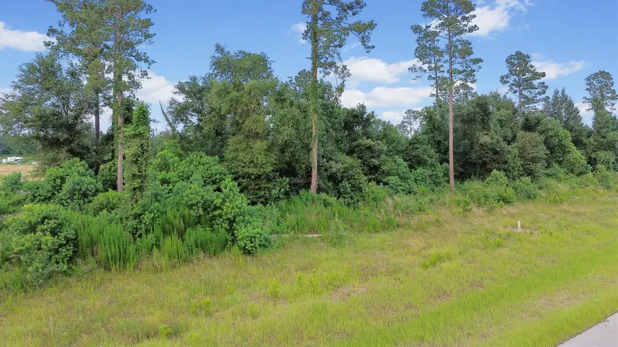 3108 Road 5913, Cleveland, TX 77327 - #2