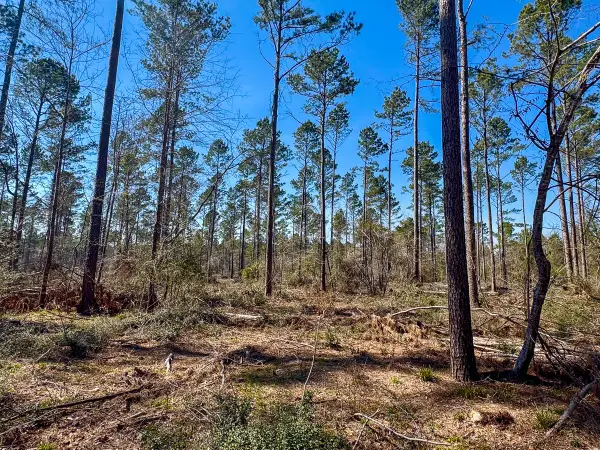 01 Boontown Road, Trinity, TX 75845