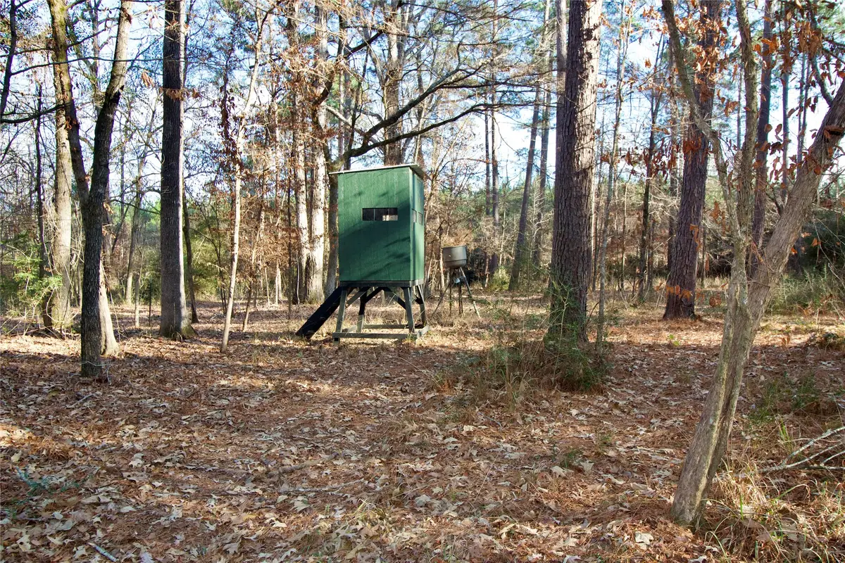 00 Fsr 556 N, Kennard, TX 75847 - #1