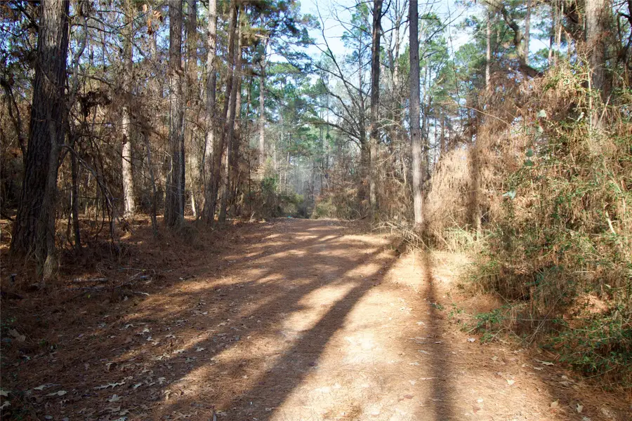 00 Fsr 556 N, Kennard, TX 75847 - #2
