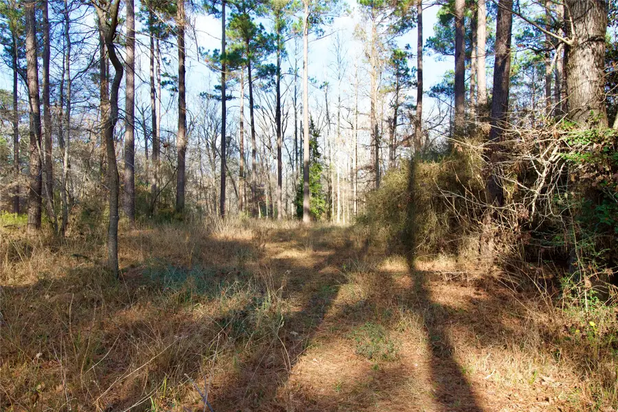 00 Fsr 556 N, Kennard, TX 75847 - #3