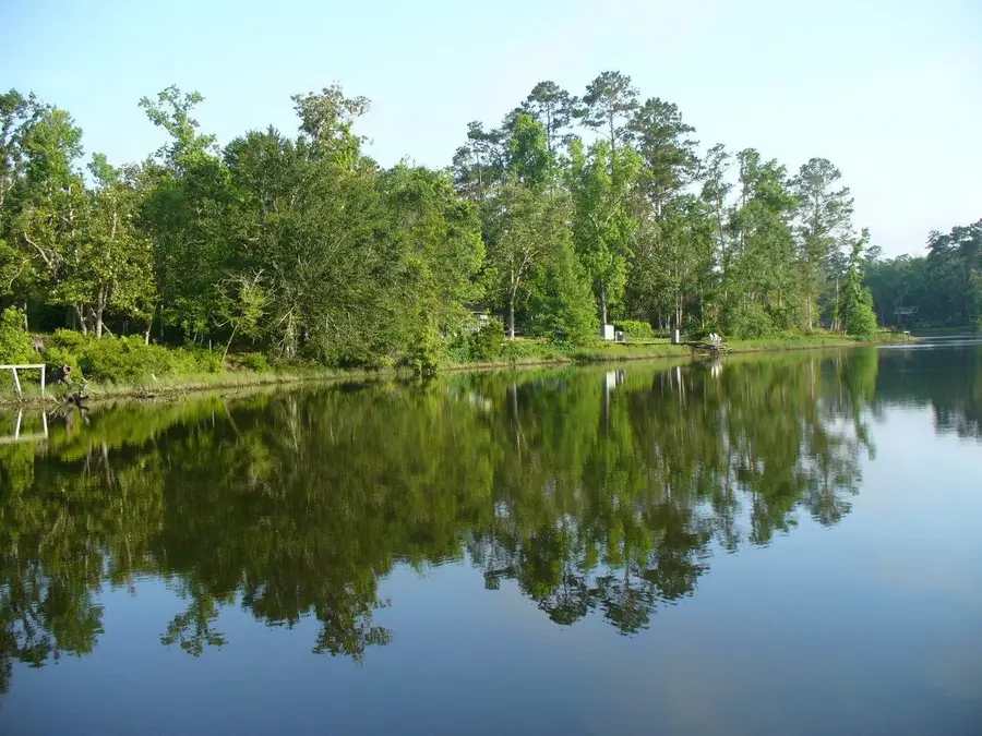 287 Johnny Cash Road, Livingston, TX 77351 - #2
