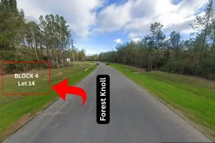 15628 Forest Knoll Road, Willis, TX 77378 - Image #3