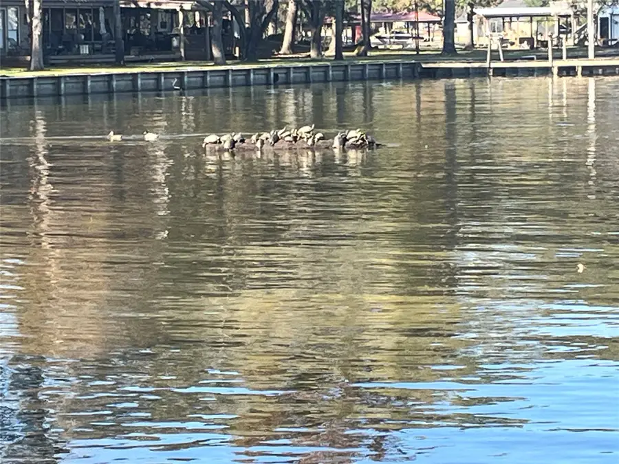 00 Twin Magnolia, Onalaska, TX 77360 - Image #2