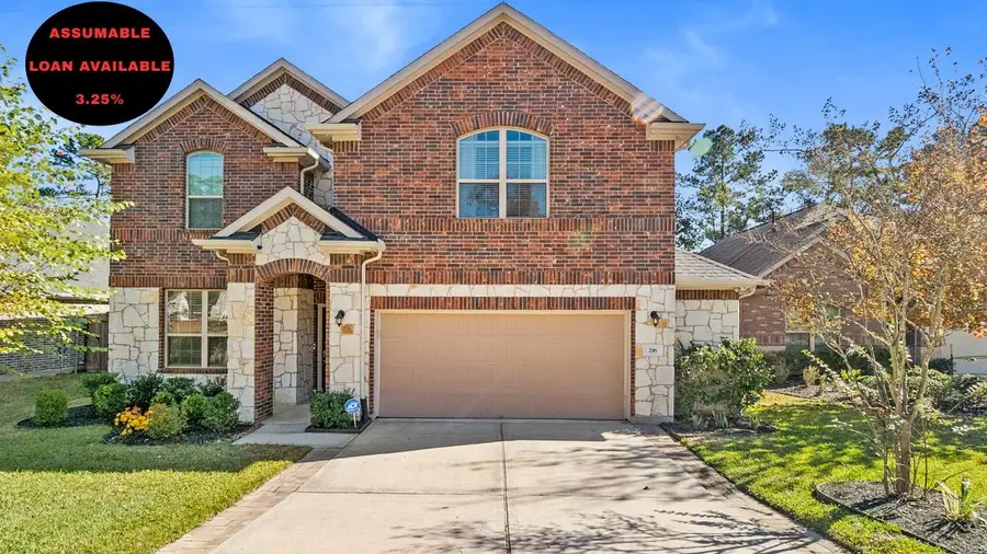 216 Elianne Lace Court, Conroe, TX 77318 - #2