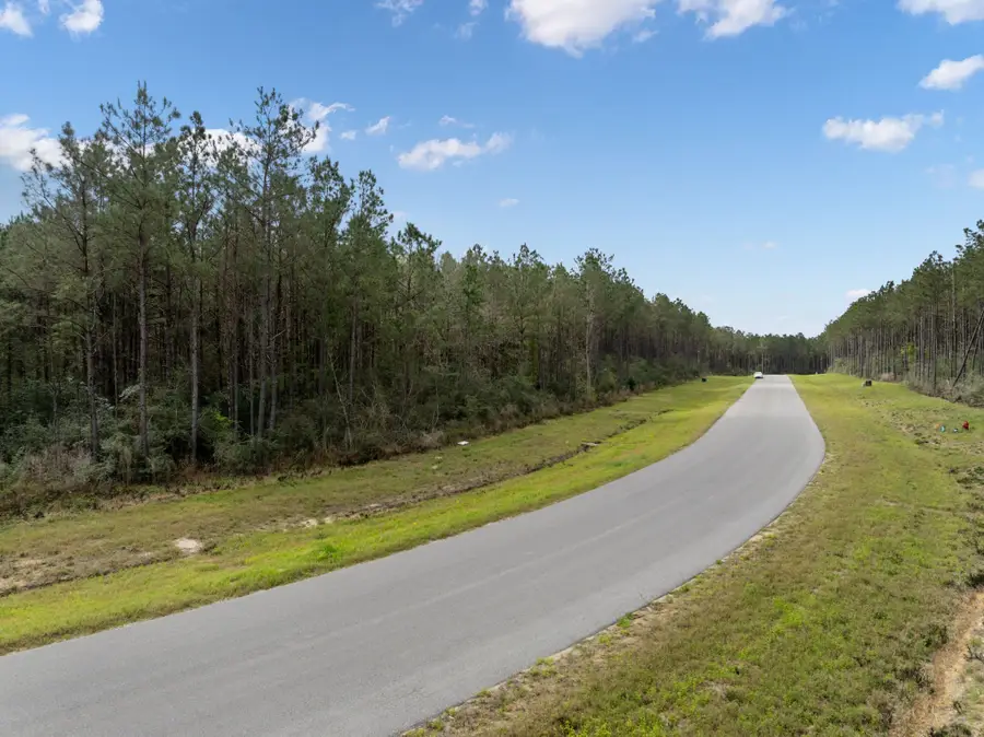 16039 Forest Mill Road, Willis, TX 77378 - #3