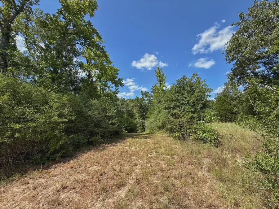 40 ac Pr 2190, Buffalo, TX 75831 - #2