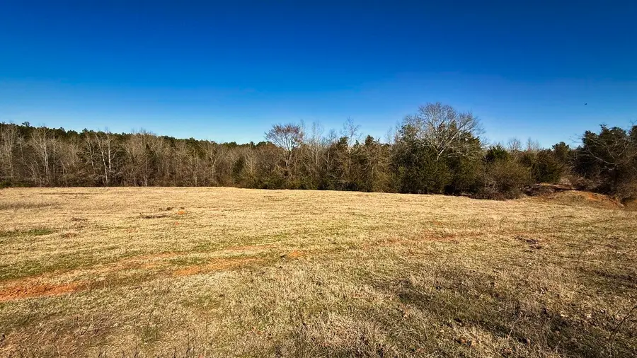 TBD #3 County Road 477, Henderson, TX 75654 - #3