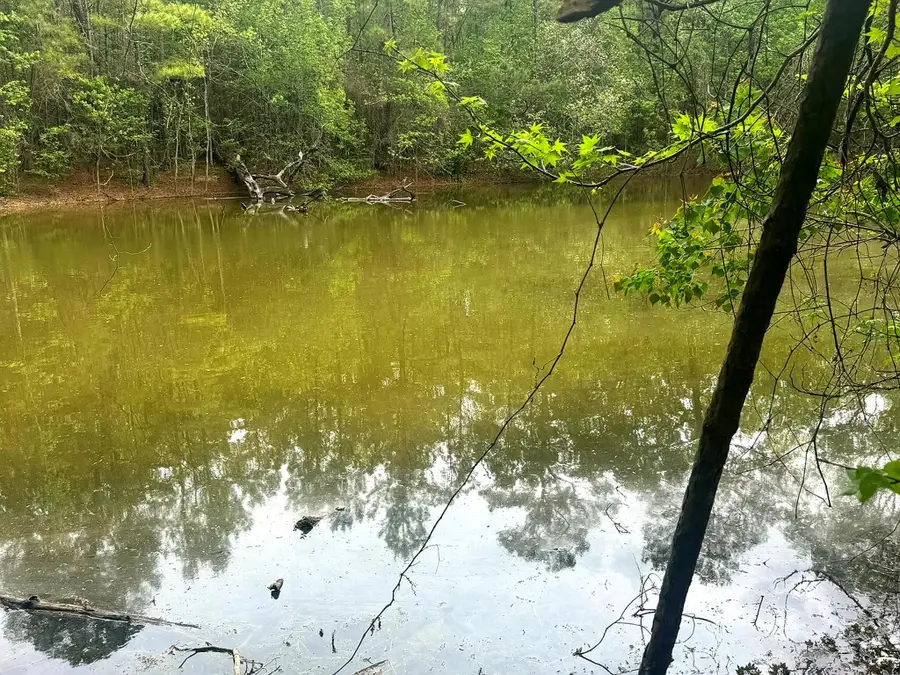 tbd Peyton Lane, Woodville, TX 75979 - #2