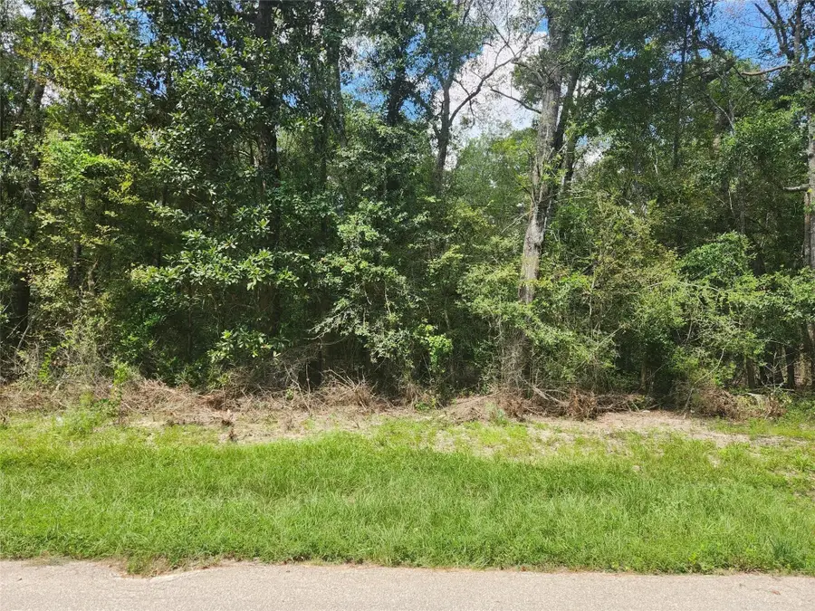 TBD Idlewood Rdwy, New Caney, TX 77357 - #2