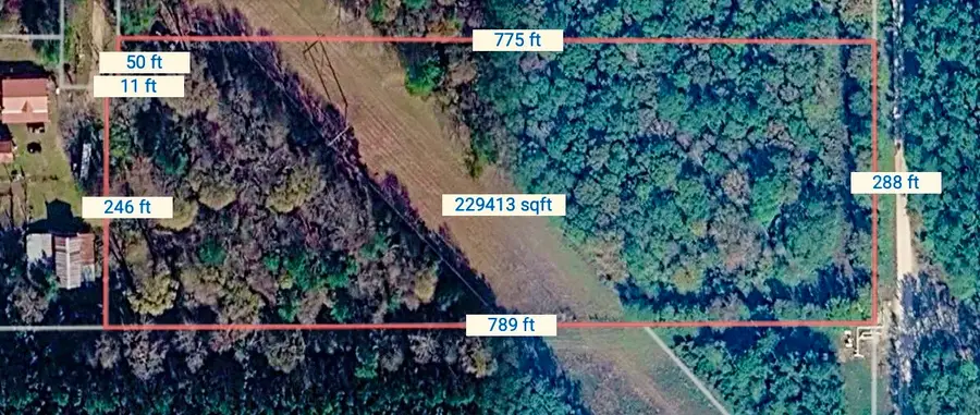 1353 Plum Pudding Road, Livingston, TX 77351 - #2