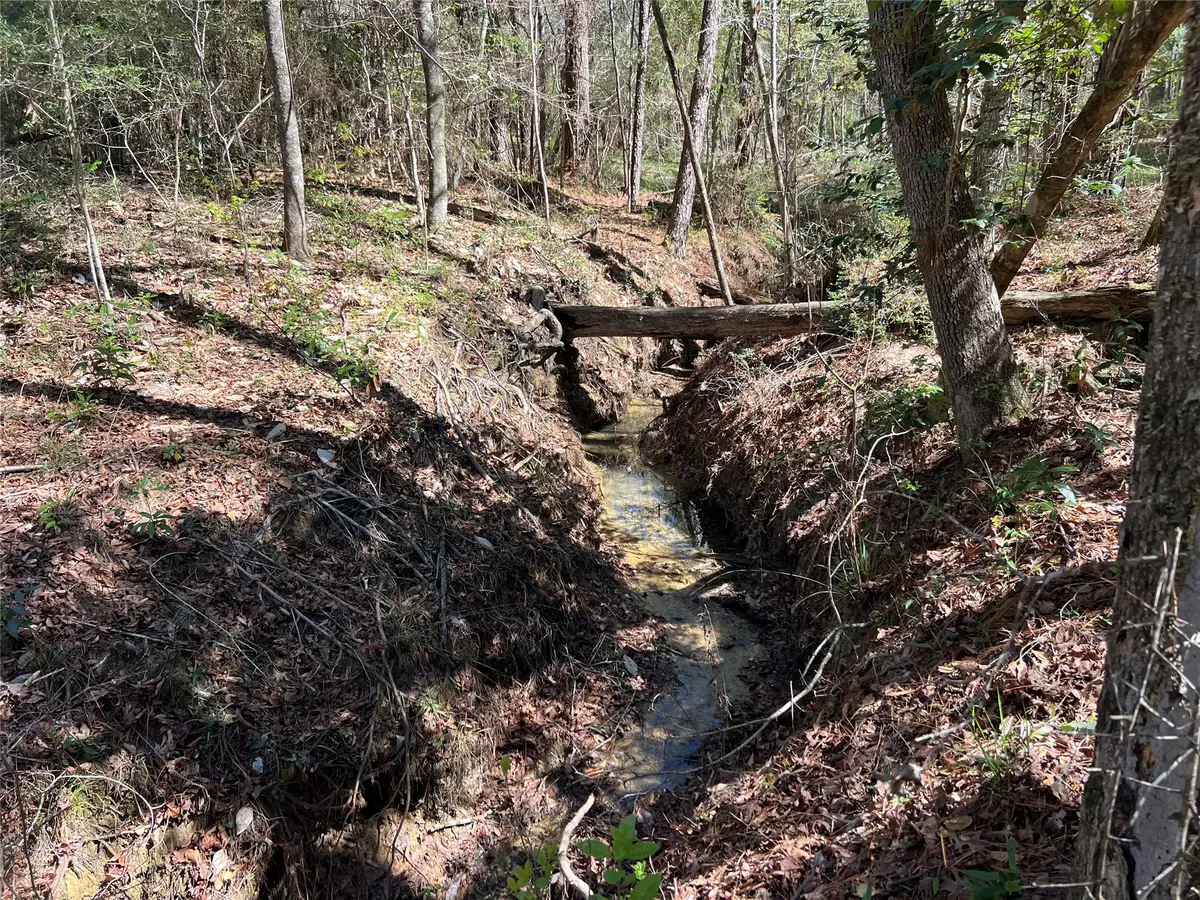 TBD E Fm 1988, Goodrich, TX 77335 - #1