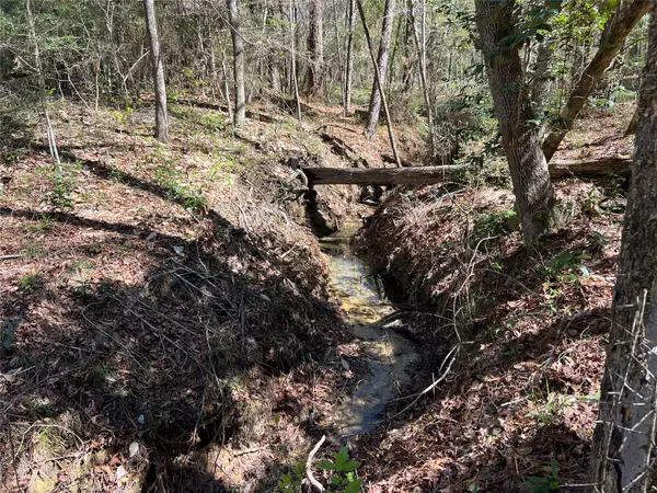 TBD E Fm 1988, Goodrich, TX 77335