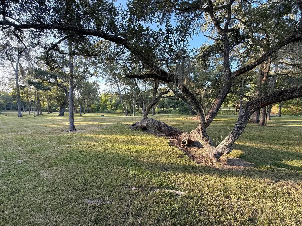 0 River Oaks Road, Damon, TX 77430 - #1