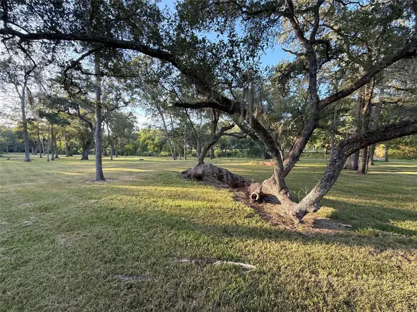 0 River Oaks Road, Damon, TX 77430