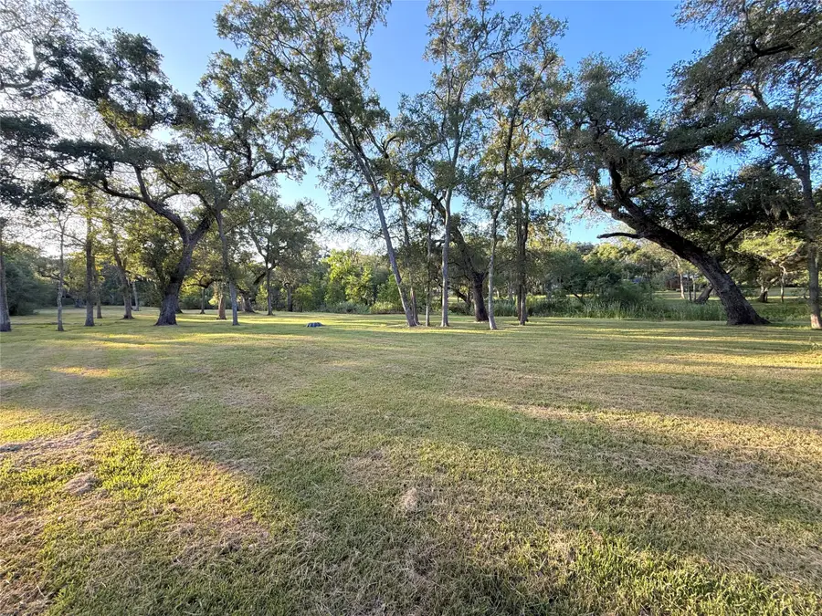 0 River Oaks Road, Damon, TX 77430 - #2