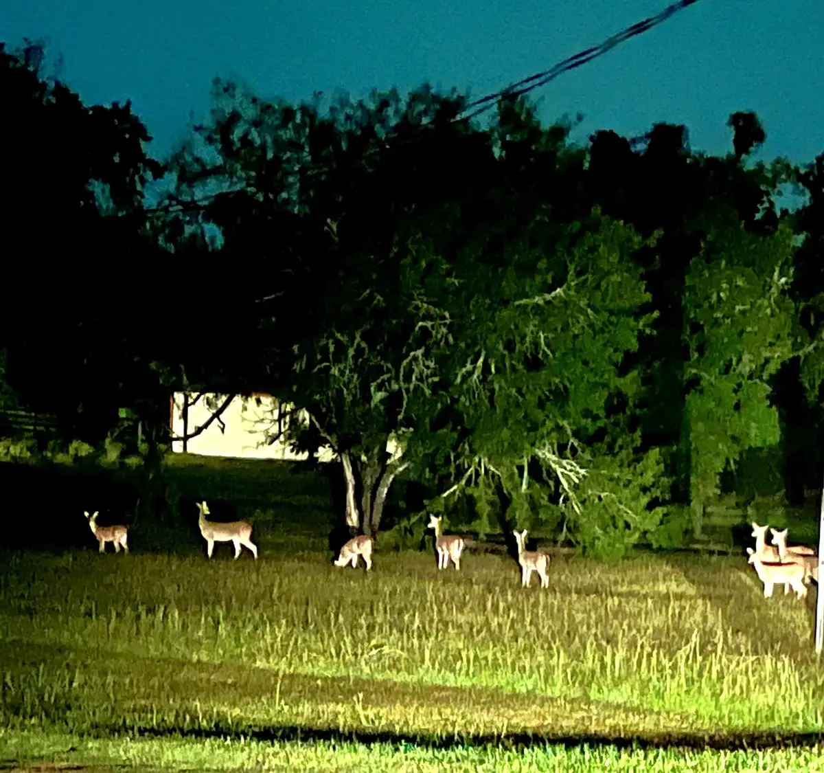 2217 Creek Road, Brookshire, TX 77423 - #1