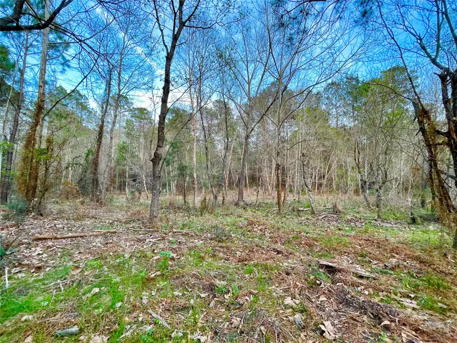 1-1-31 Texas Grand Road, Huntsville, TX 77340 - #2