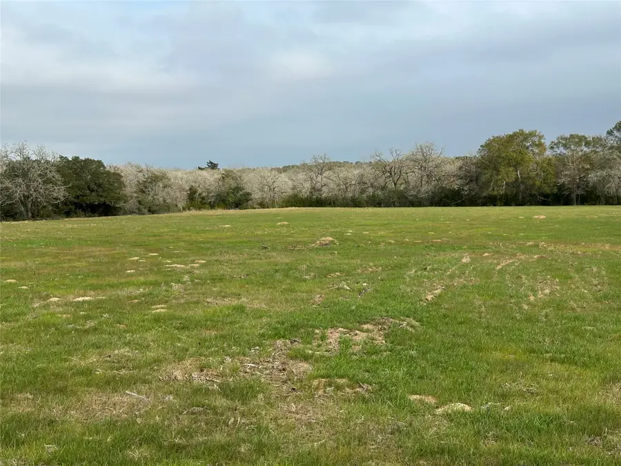 TBD County Road 134, Hallettsville, TX 77964 - #3