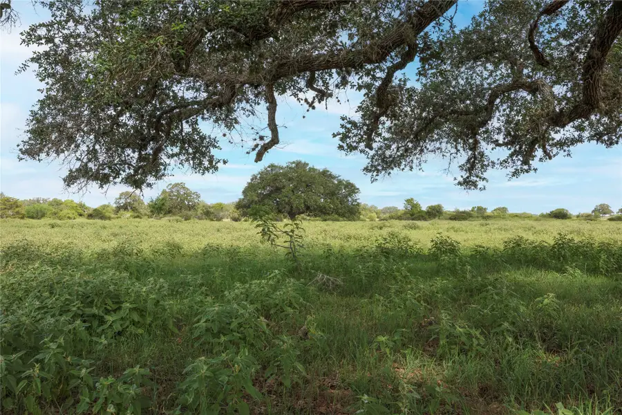 TBD Cr 212 - Tract 5, Hallettsville, TX 77964 - #3