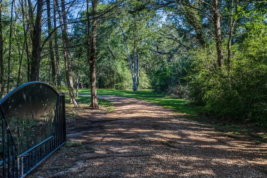 1017 Allen Road, Cat Spring, TX 78933 - #2