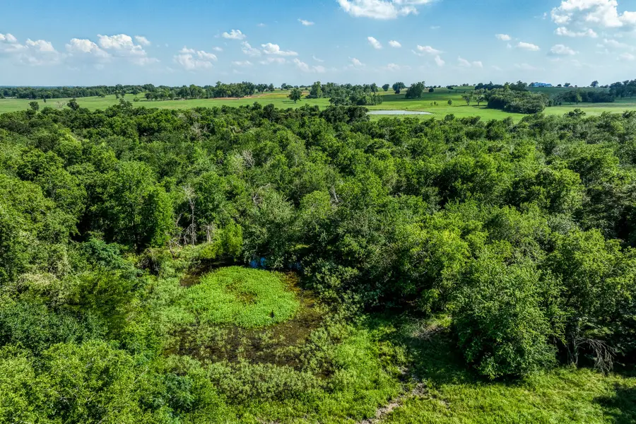 0000 Egypt Lane Lane, Washington, TX 77880 - #3