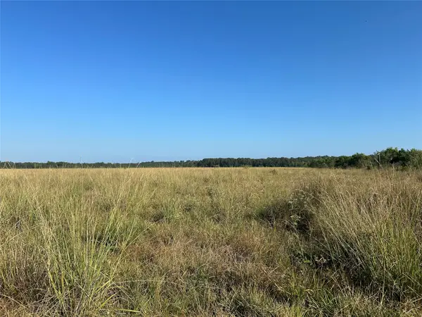 Lot 3 Minnie West Drive, Hull, TX 77564