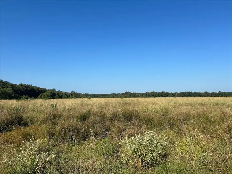 Lot 3 Minnie West Drive, Hull, TX 77564 - Image #2