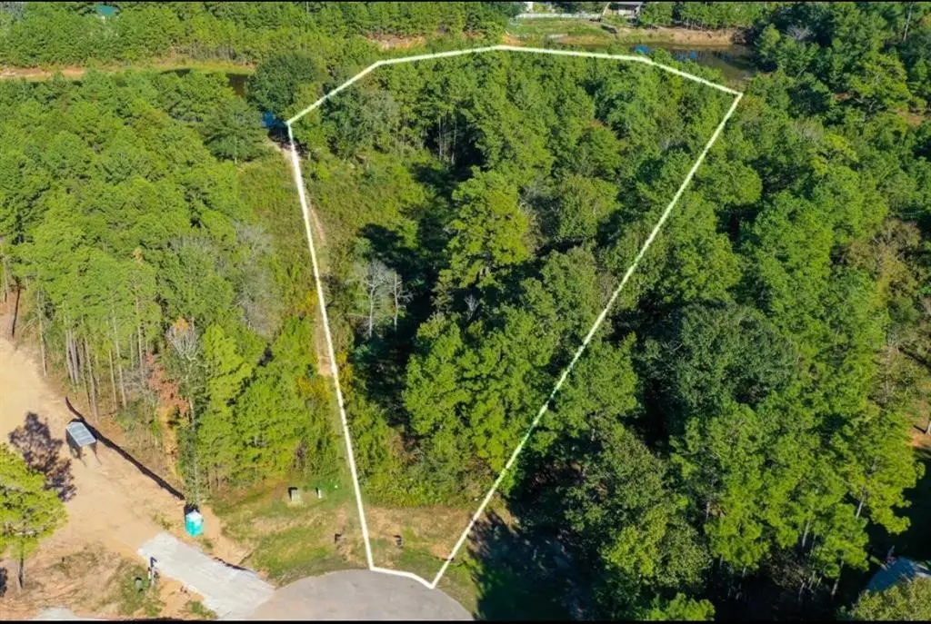 11600 Kirstens Court, Montgomery, TX 77316 - Image #1