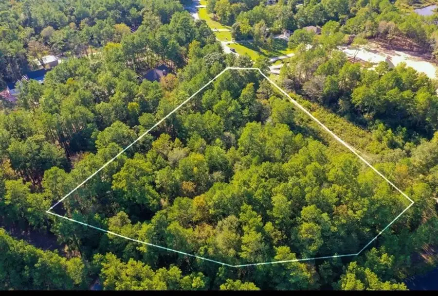 11600 Kirstens Court, Montgomery, TX 77316 - Image #2