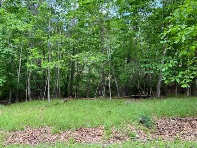 10 Castaway Lane, Coldspring, TX 77331 - #2