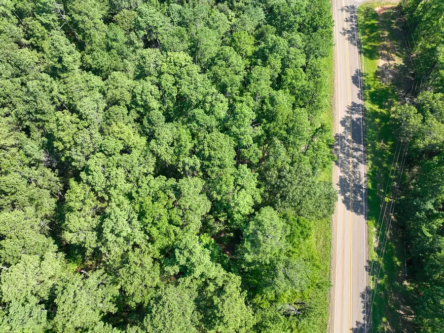 01 Highway 87, Milam, TX 75959 - #3