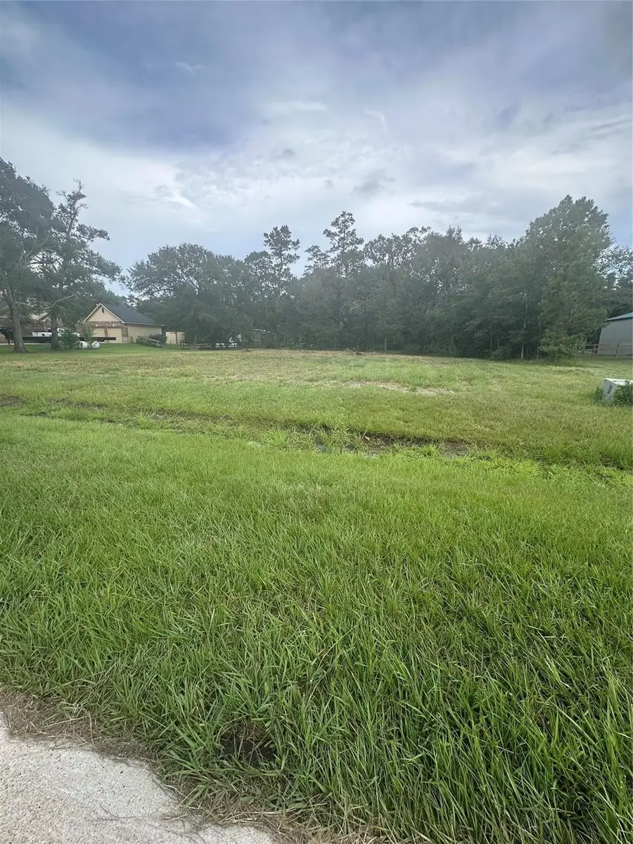 7311 Bayou Timbers Drive, Alvin, TX 77511 - Image #2