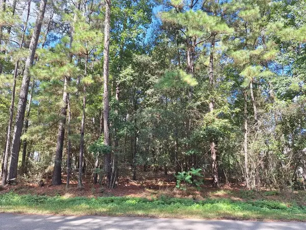 1023 Weisinger Drive, Magnolia, TX 77354