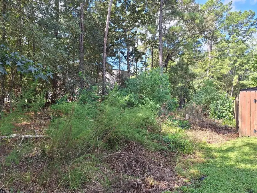 1023 Weisinger Drive, Magnolia, TX 77354 - #2