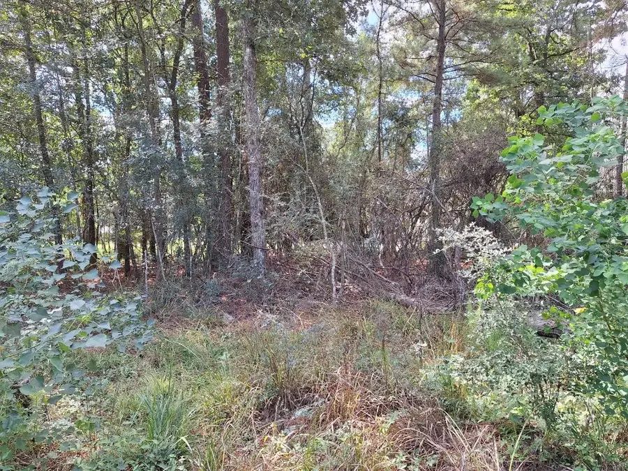1023 Weisinger Drive, Magnolia, TX 77354 - #3