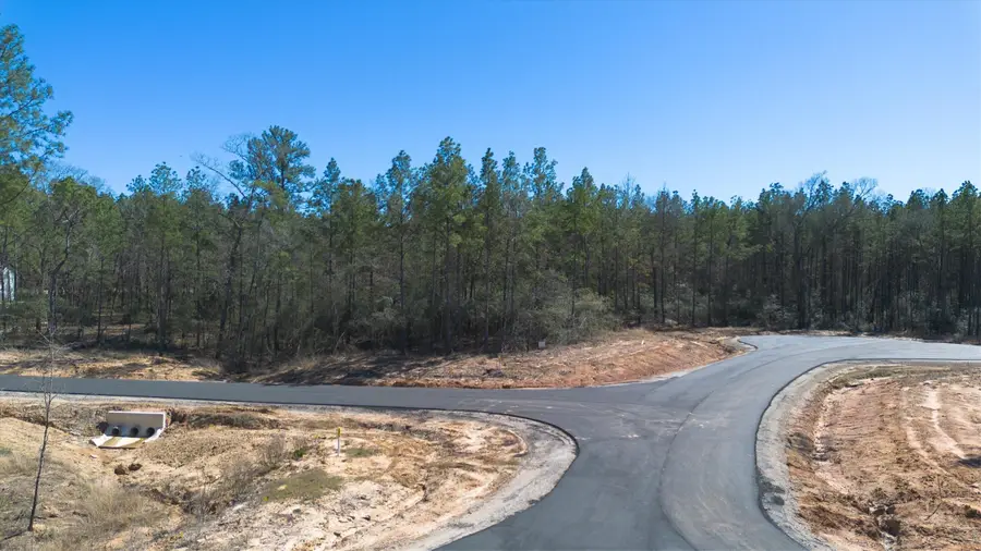 4521 Marfa Court, Montgomery, TX 77316 - Image #2