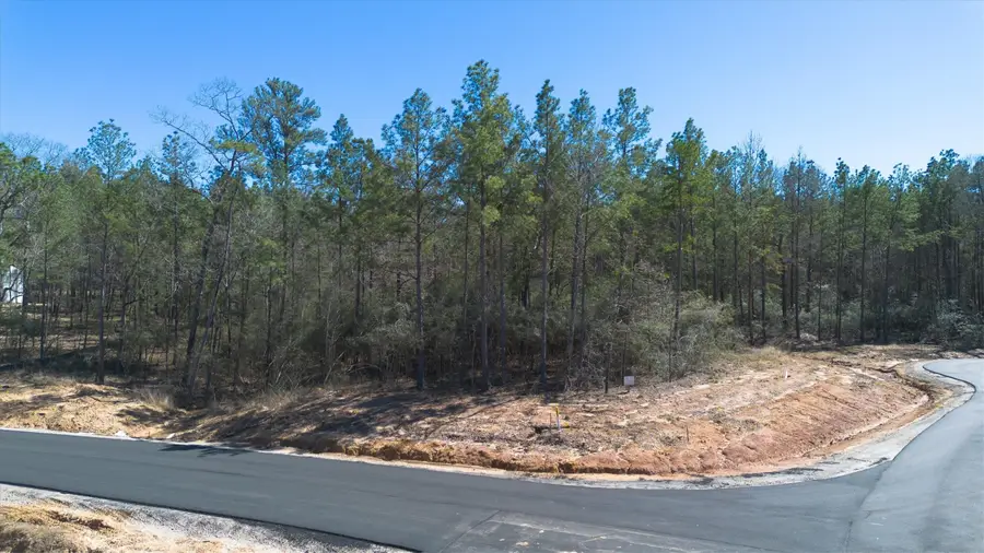 4521 Marfa Court, Montgomery, TX 77316 - Image #3