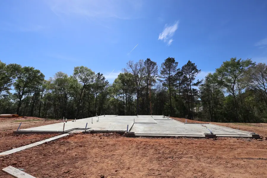 117 Roebuck Lane, New Waverly, TX 77358 - #2