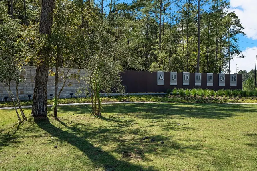 16819 Deep Wingbeat Way, Magnolia, TX 77354 - #2