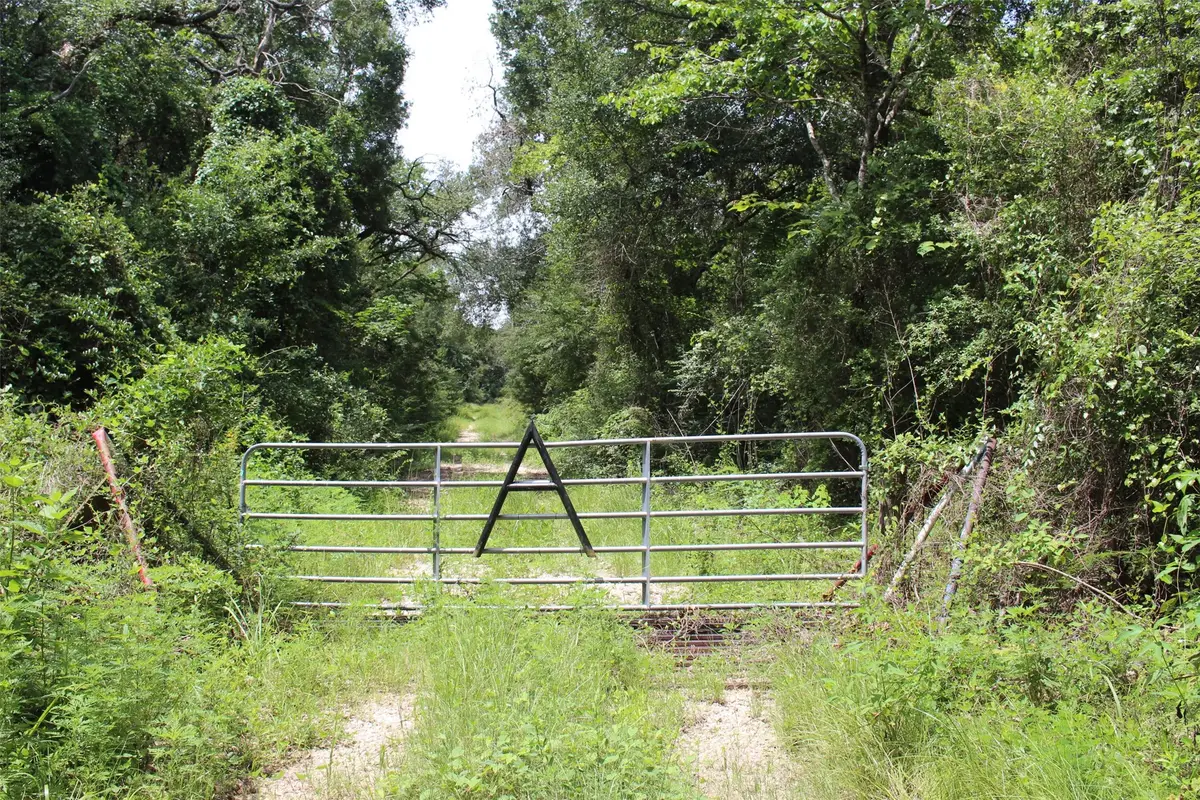 1306 County Road 3455a, Lovelady, TX 75851 - Image #1