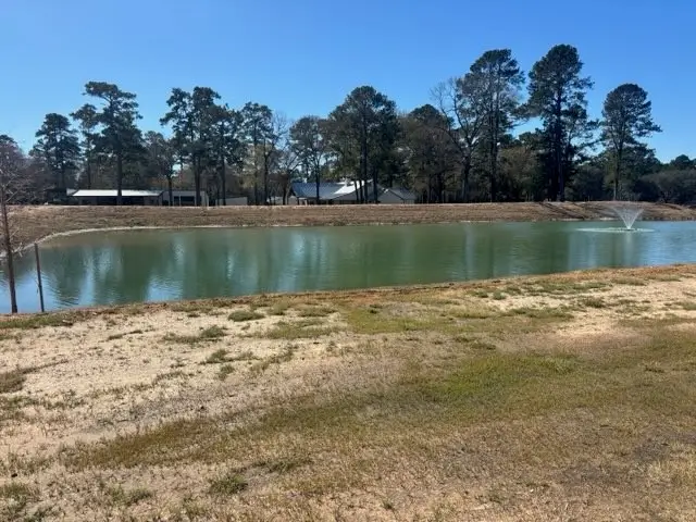 213 Hidden Oak Drive, Hockley, TX 77447 - Image #3