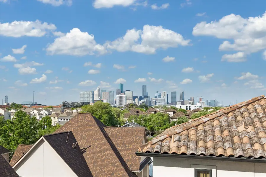 1521 Oakdale Street, Houston, TX 77004 - #2