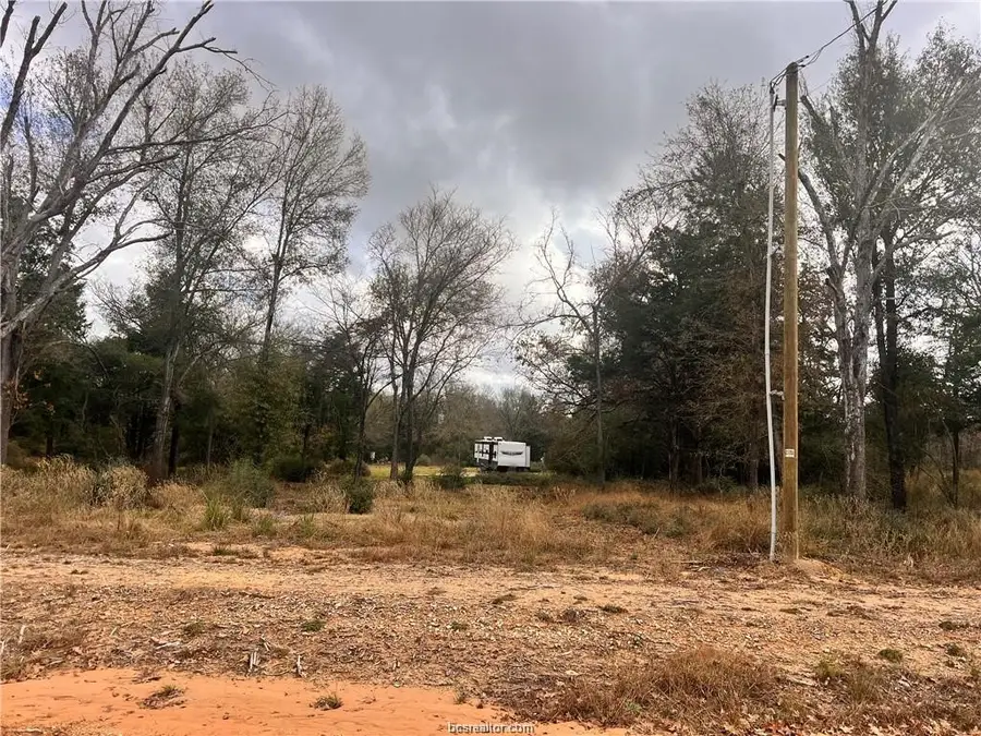 6273 Private Road 3443, Marquez, TX 77865 - #2