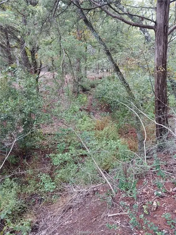 6273 Private Road 3443, Marquez, TX 77865 - #3